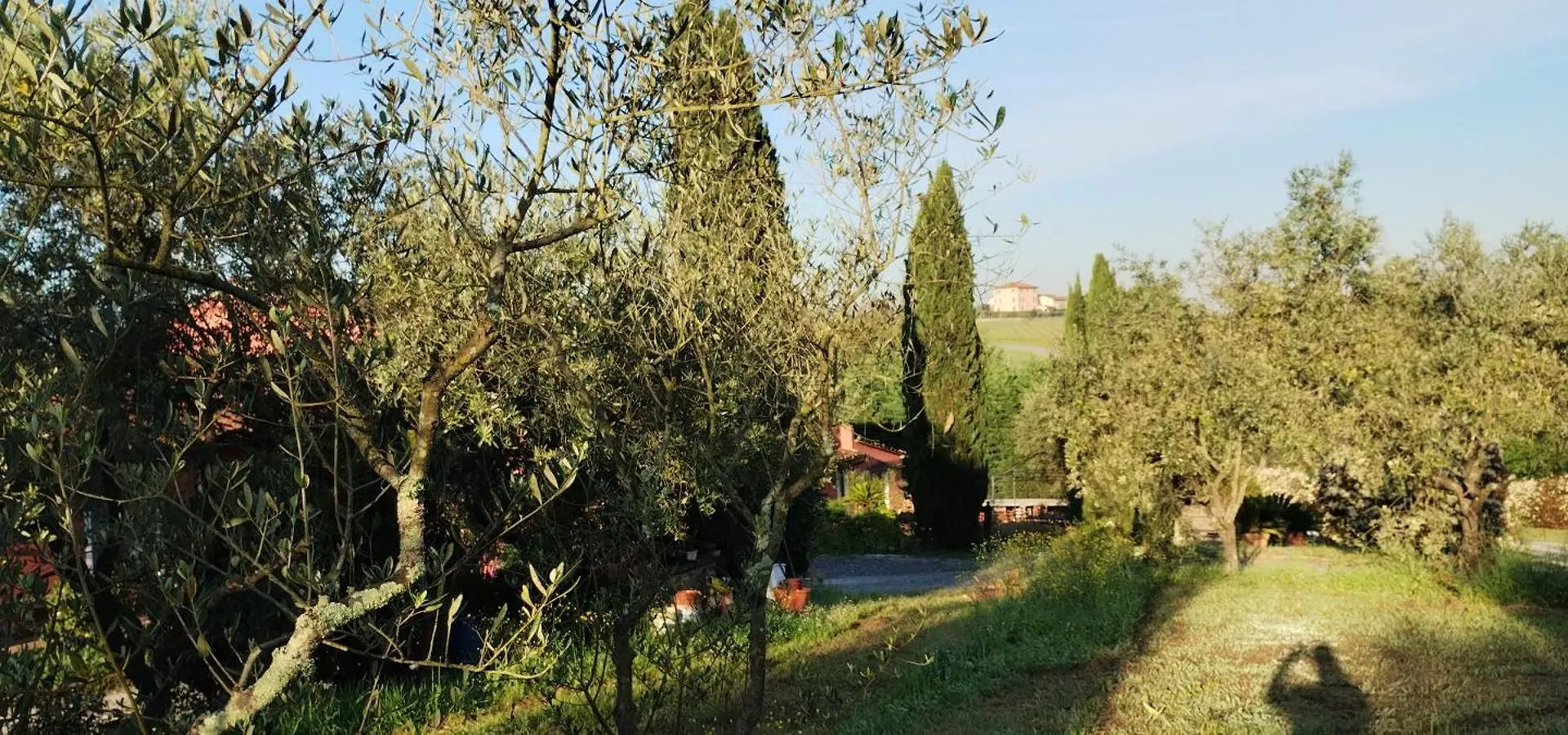 Al Sangallo Agriturismo Montecarlo